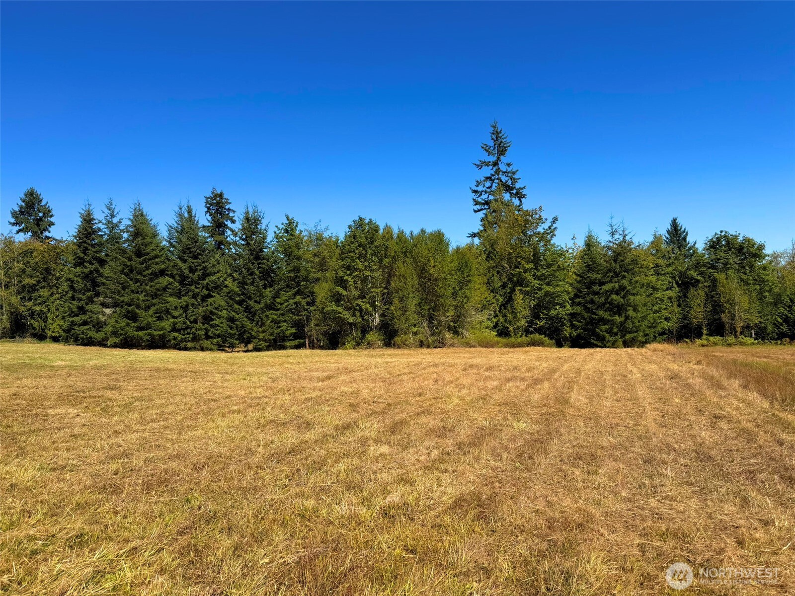 404 Black Bear Trail Property Photo 26