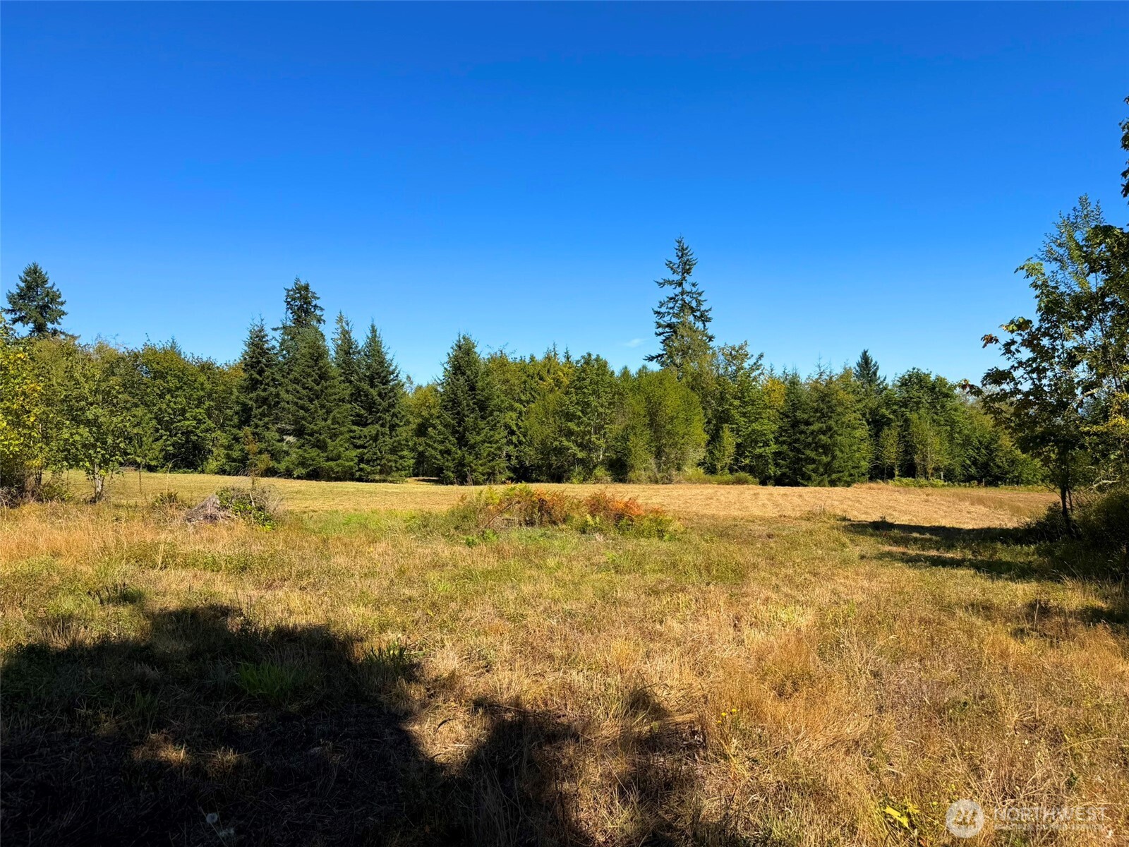 404 Black Bear Trail Property Photo 27
