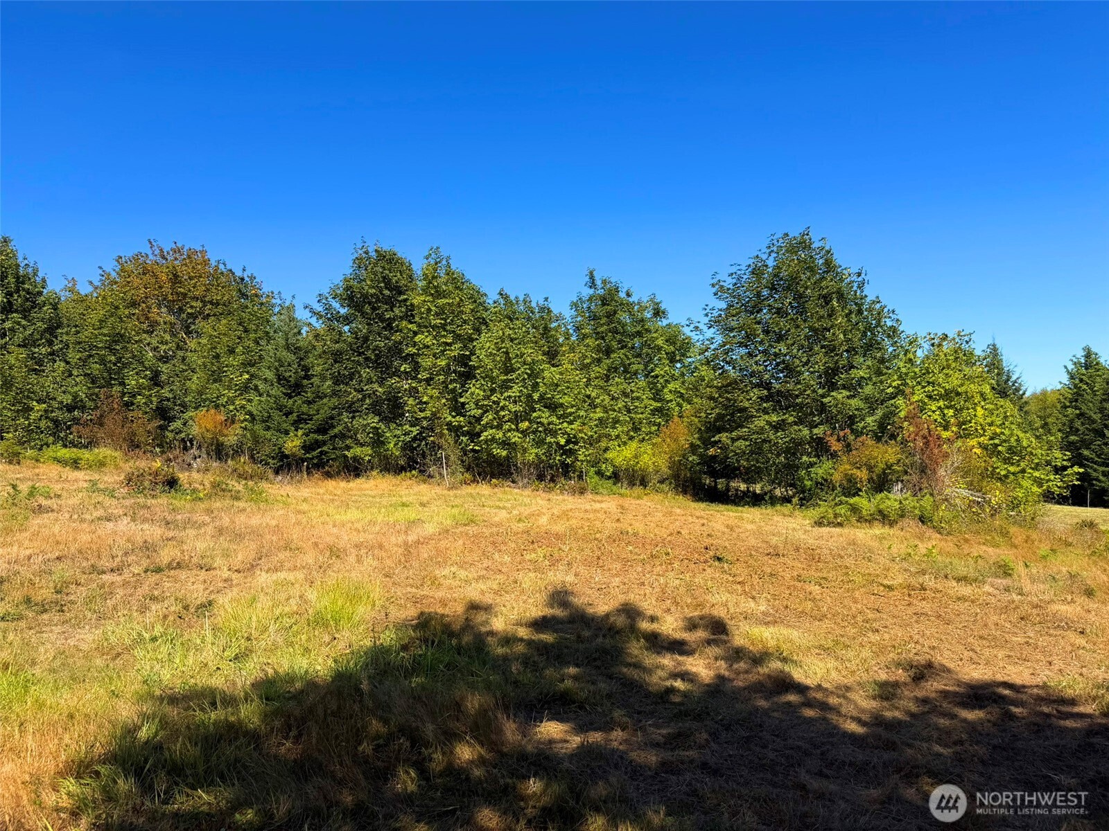 404 Black Bear Trail Property Photo 28