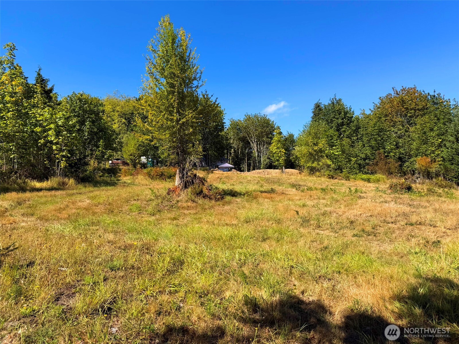 404 Black Bear Trail Property Photo 29
