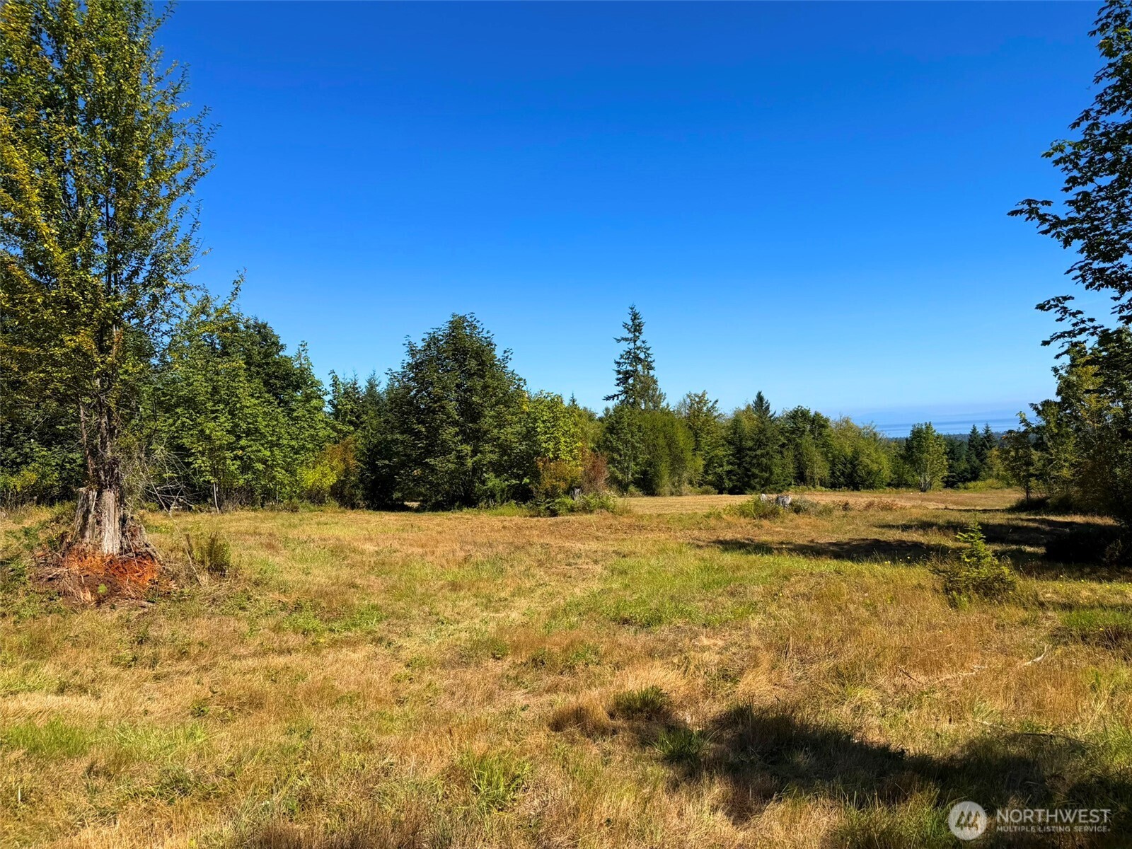 404 Black Bear Trail Property Photo 30