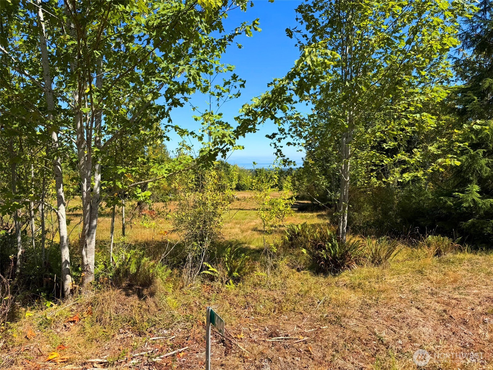 404 Black Bear Trail Property Photo 31