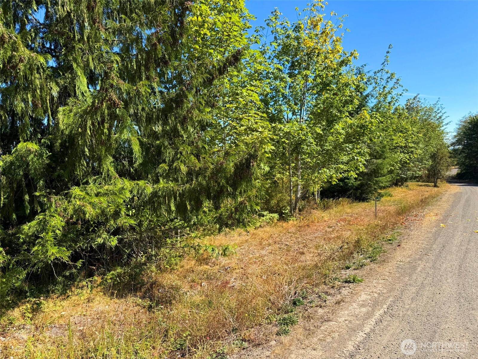 404 Black Bear Trail Property Photo 32
