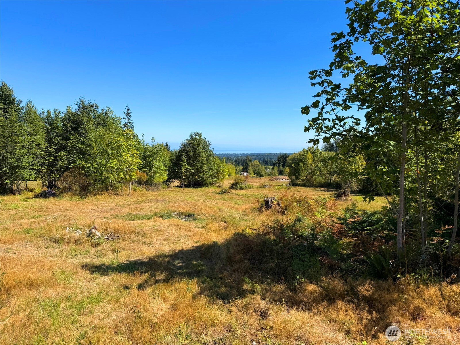 404 Black Bear Trail Property Photo 33