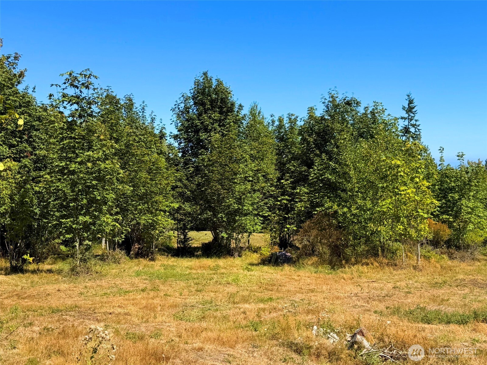 404 Black Bear Trail Property Photo 34