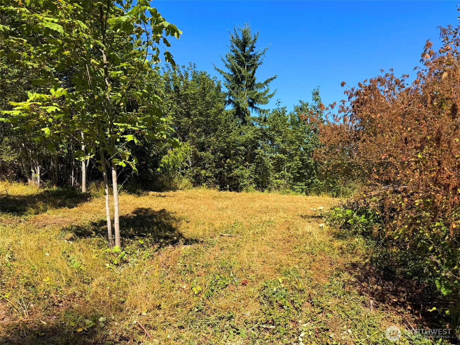 404 Black Bear Trail Property Photo 35