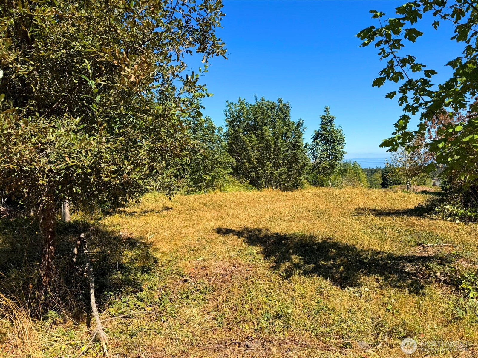404 Black Bear Trail Property Photo 36