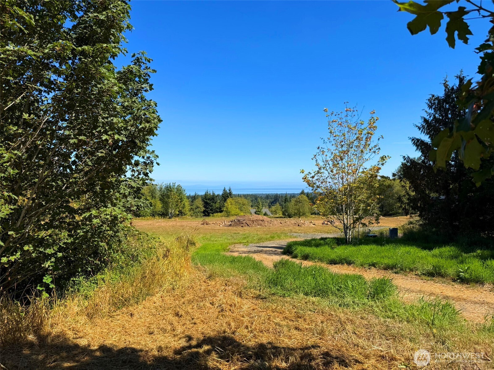 404 Black Bear Trail Property Photo 37