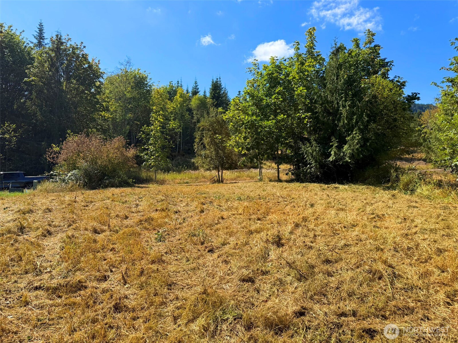 404 Black Bear Trail Property Photo 38