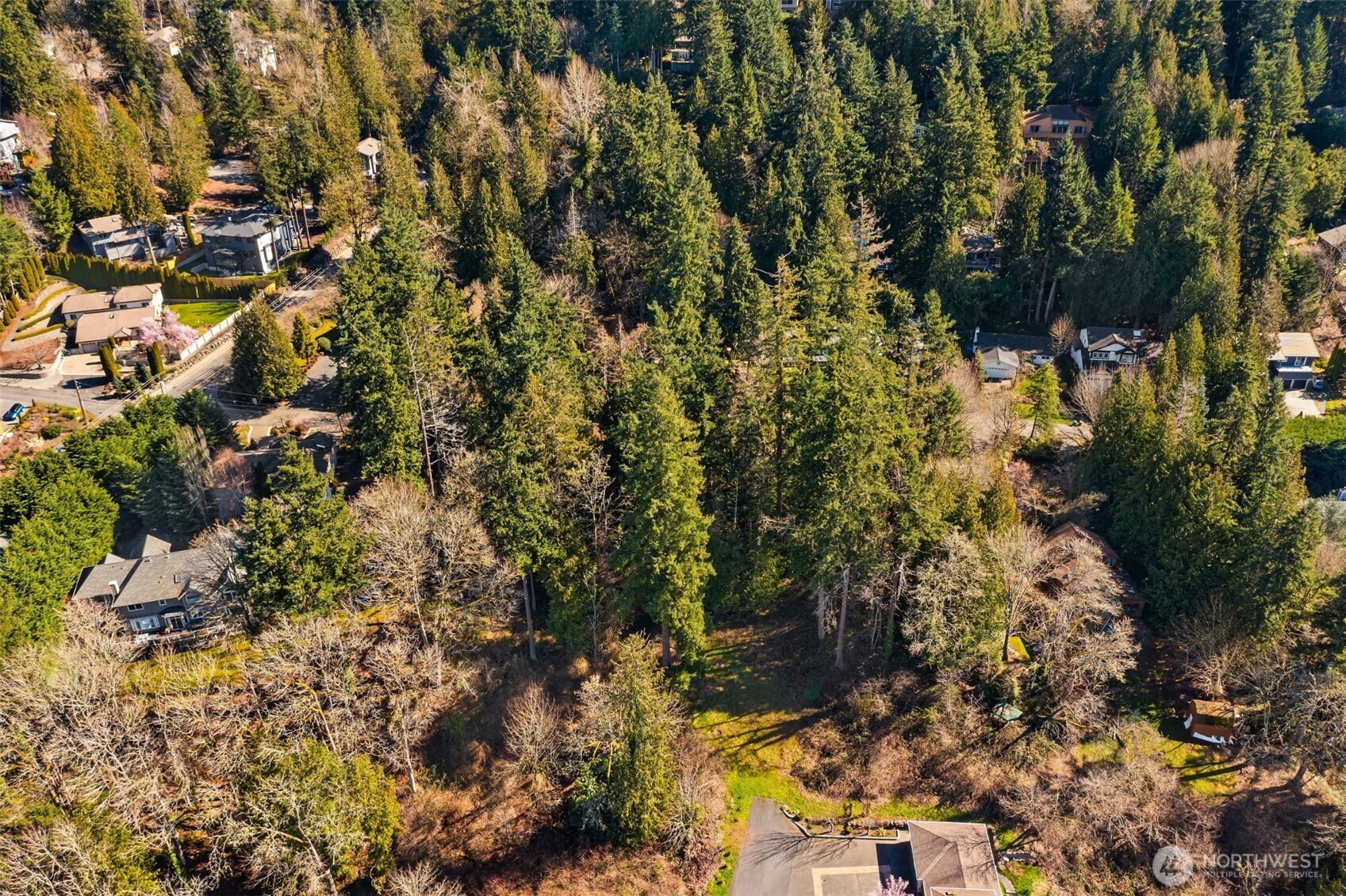 11 Xx E Lake Sammamish Parkway Property Photo 5