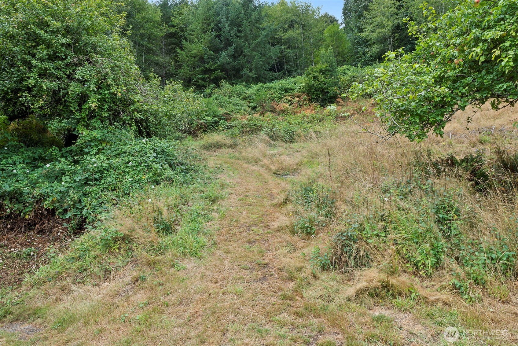 23 Elk Creek Road Property Photo 27