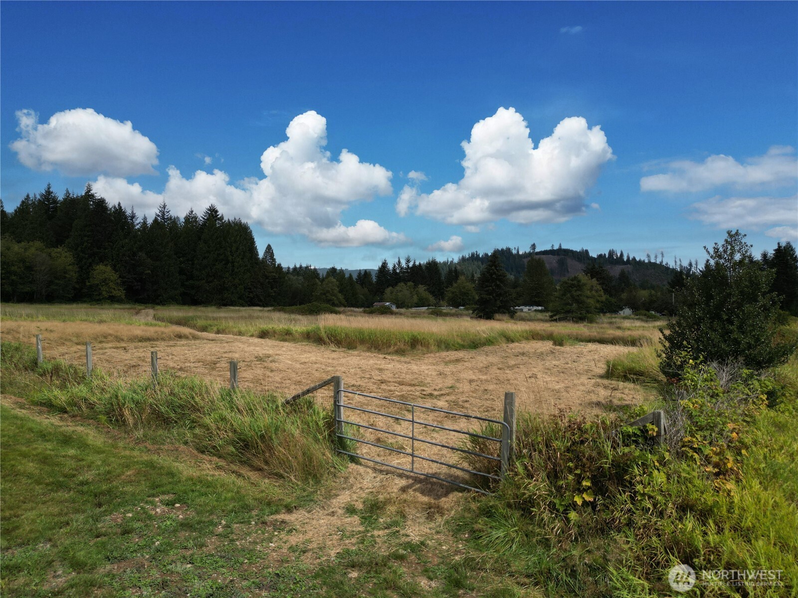 11301 Grandview Road Property Photo 3