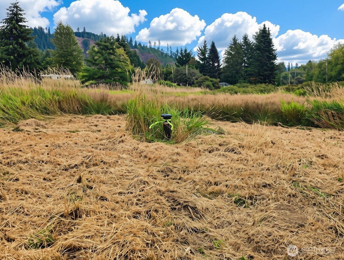 11301 Grandview Road Property Photo 6