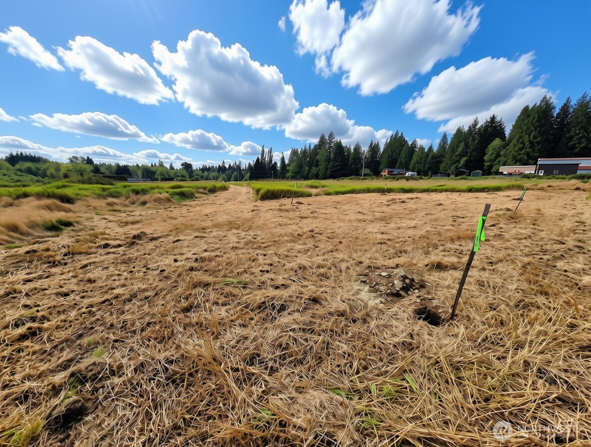 11301 Grandview Road Property Photo 16