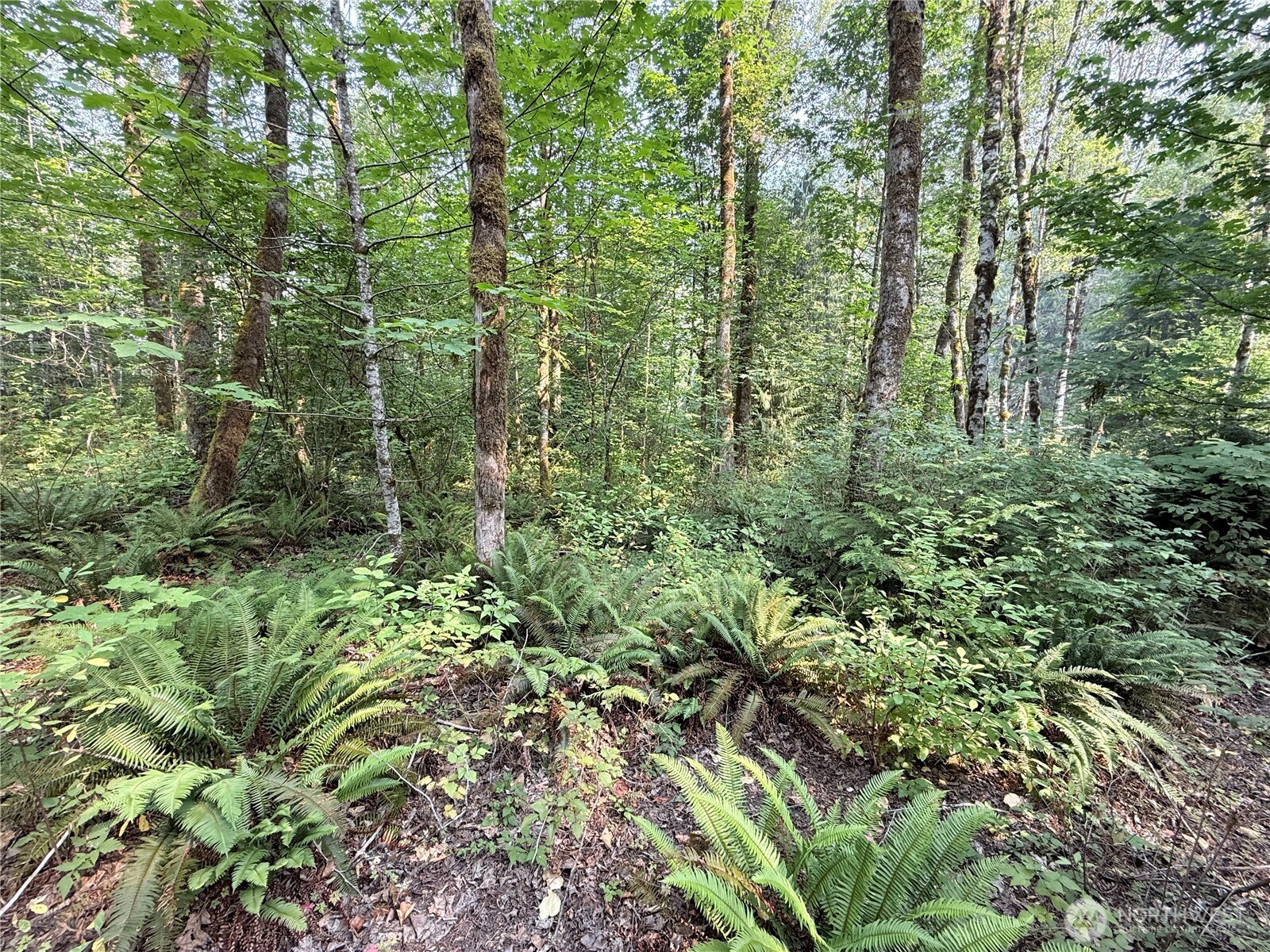 0 W Cascade Way Property Photo 18