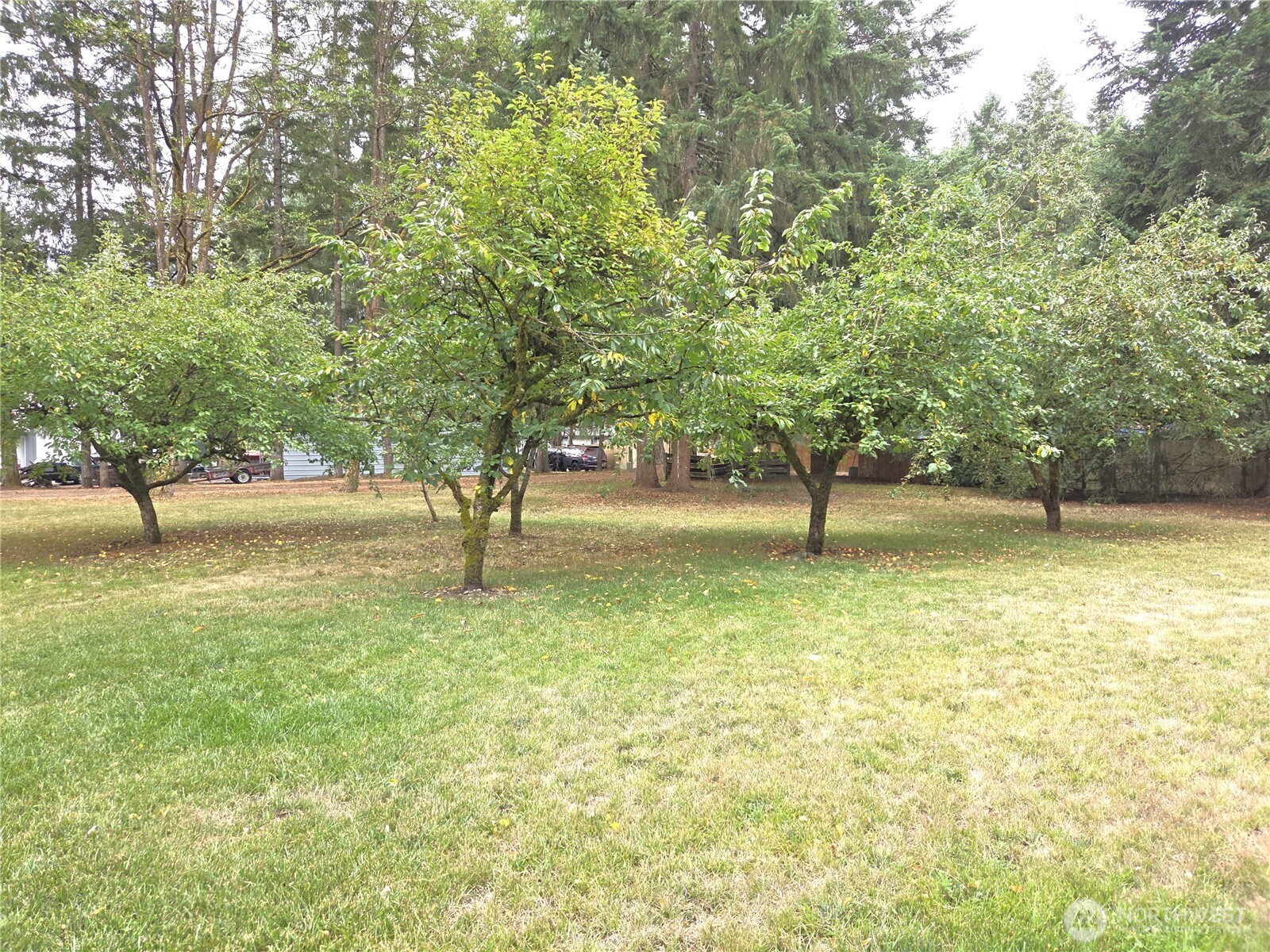 18435 Elderberry Street Property Photo 15