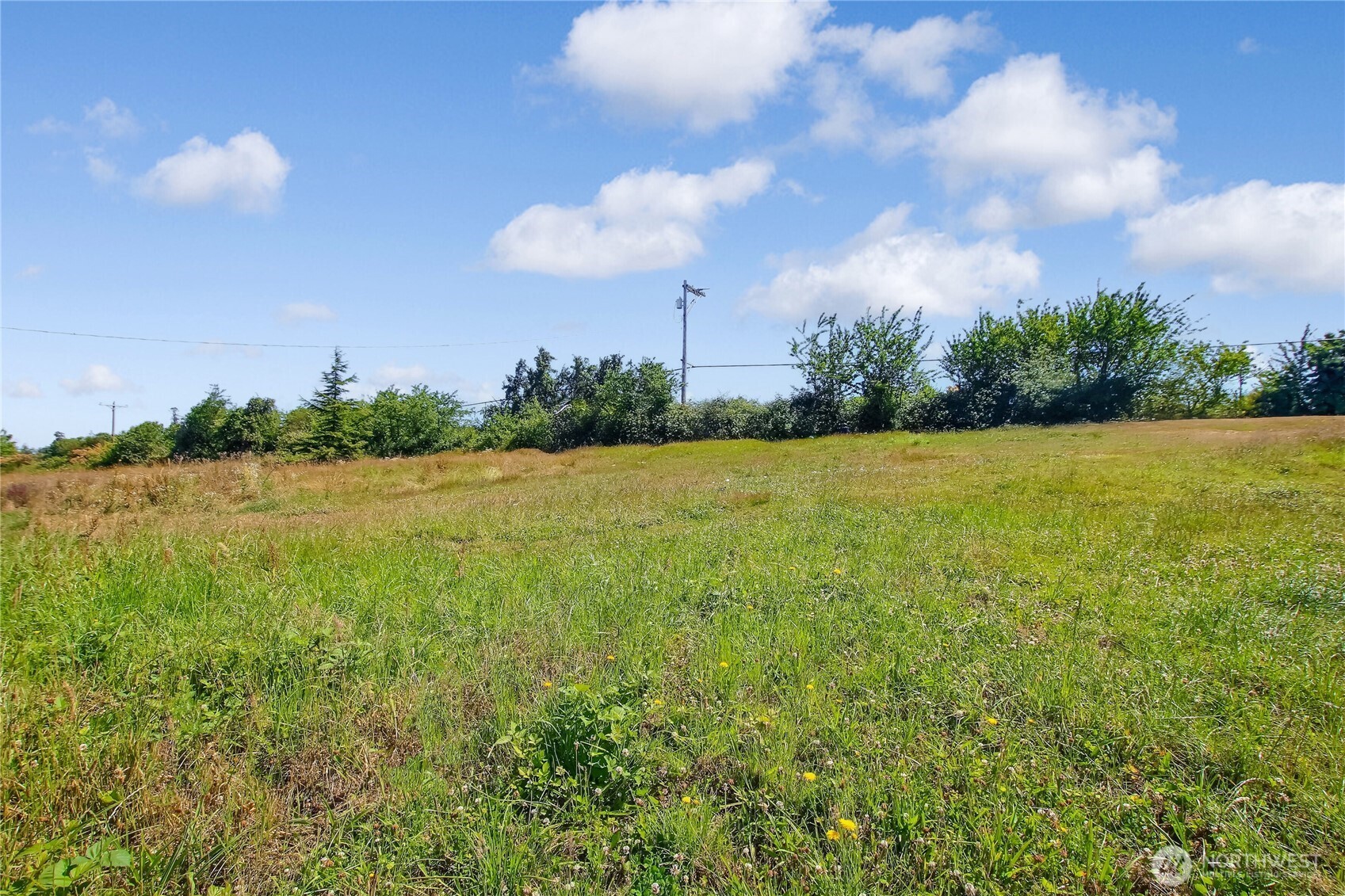 30320 Pioneer Highway Property Photo 32