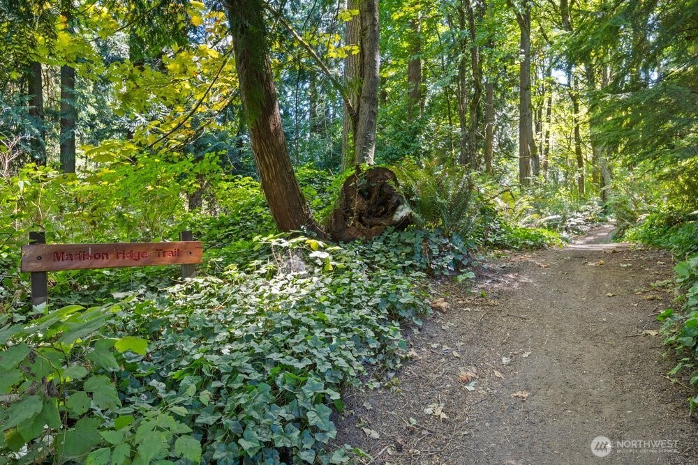 9376 Endicott Street Property Photo 3