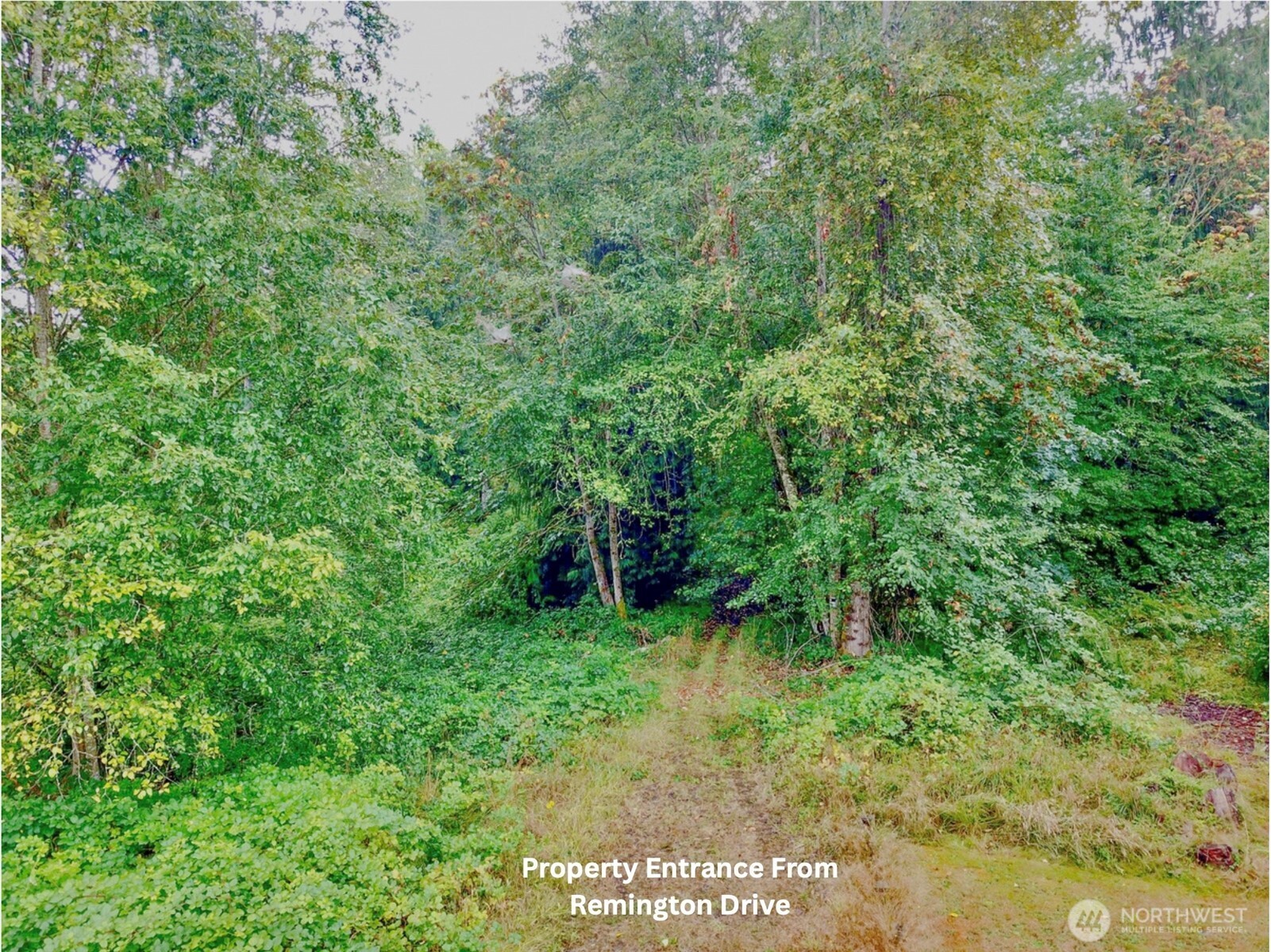 515 Remington Drive Property Photo 5