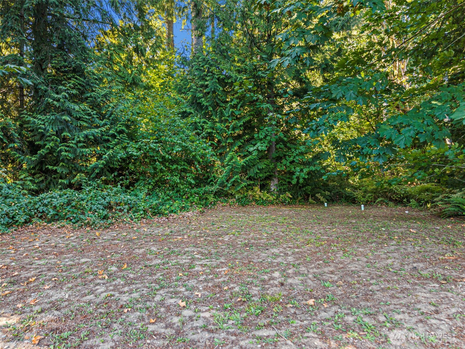 4959 Long Lake Road Property Photo 33