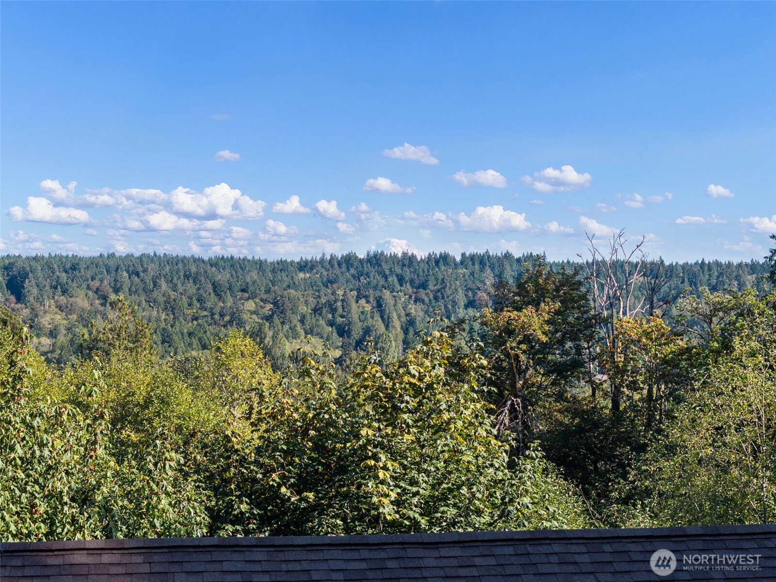 4959 Long Lake Road Property Photo 34