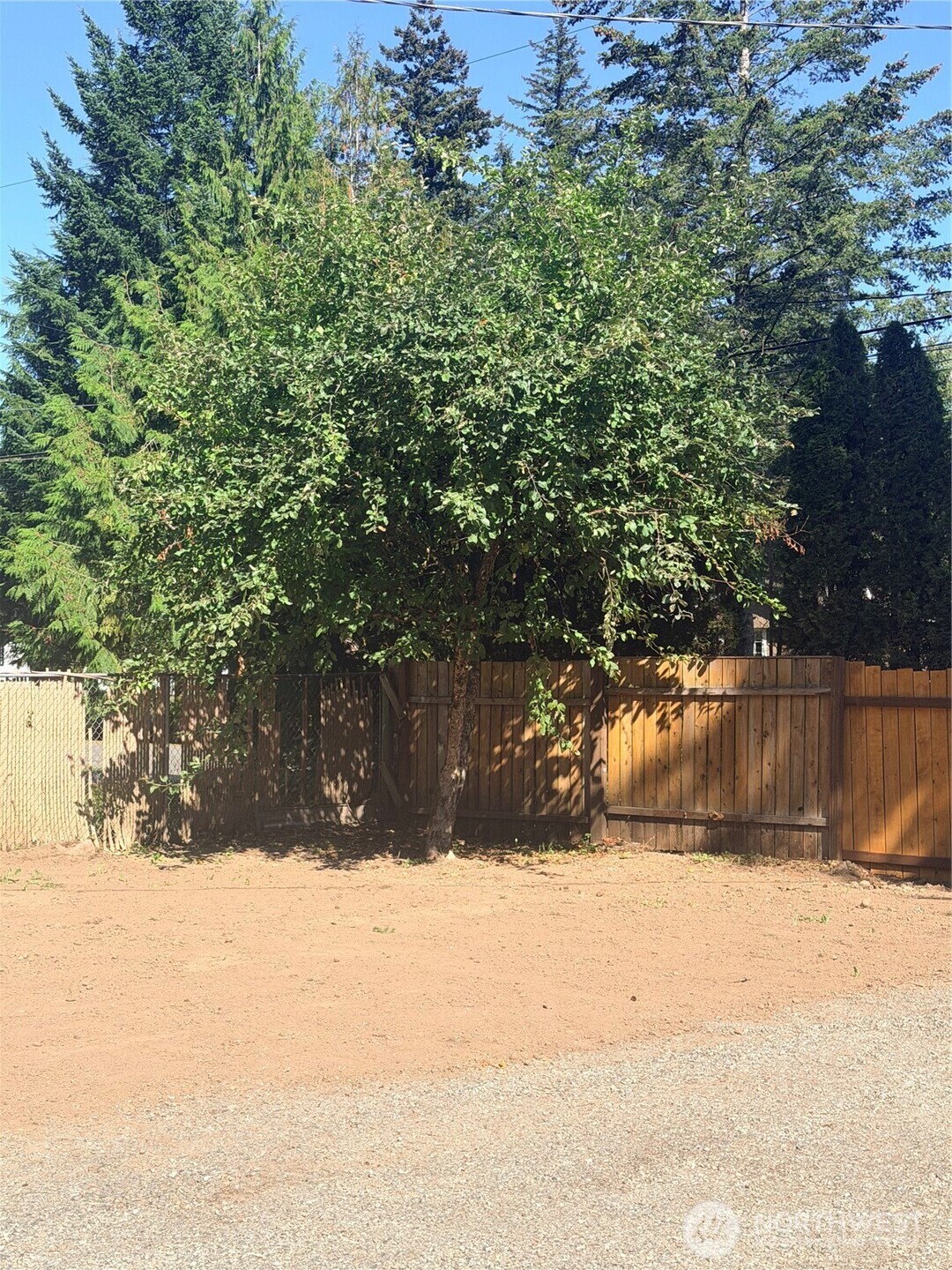 8597 Golden Valley Drive Property Photo 9