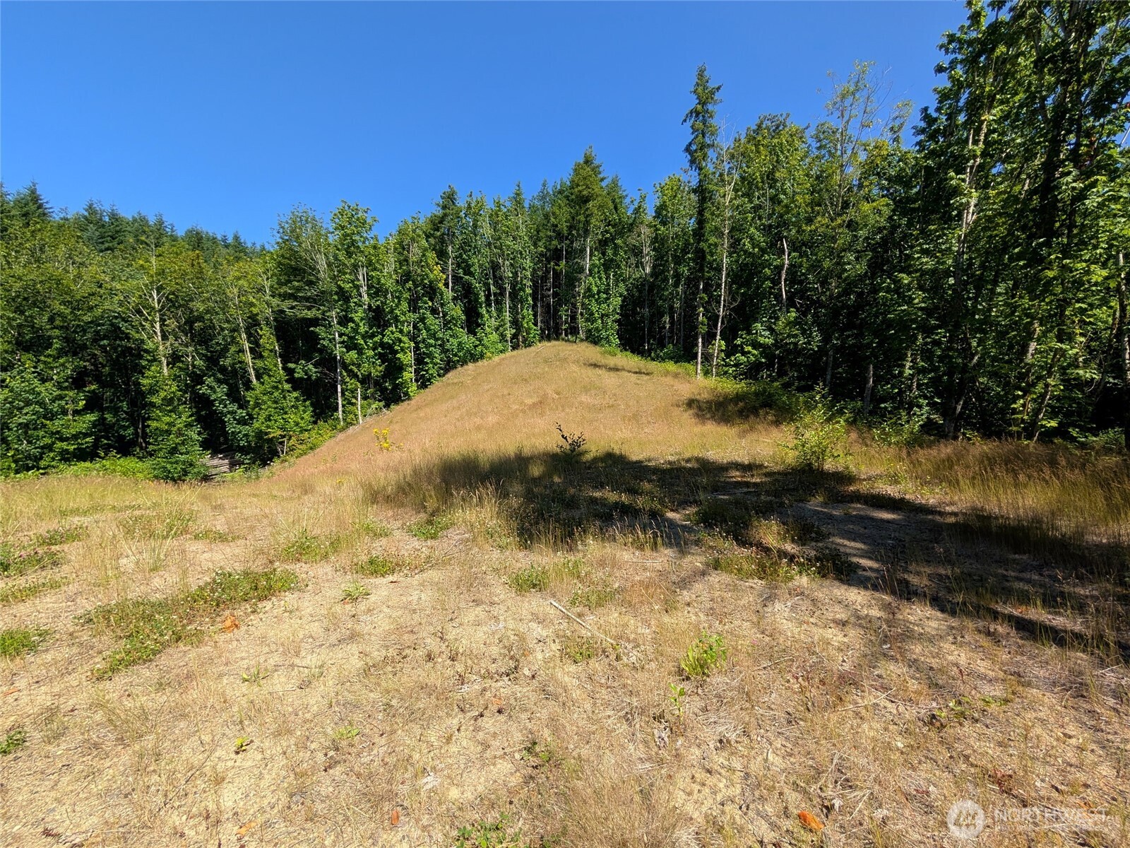 0 Stoney Brook Lane Property Photo 1