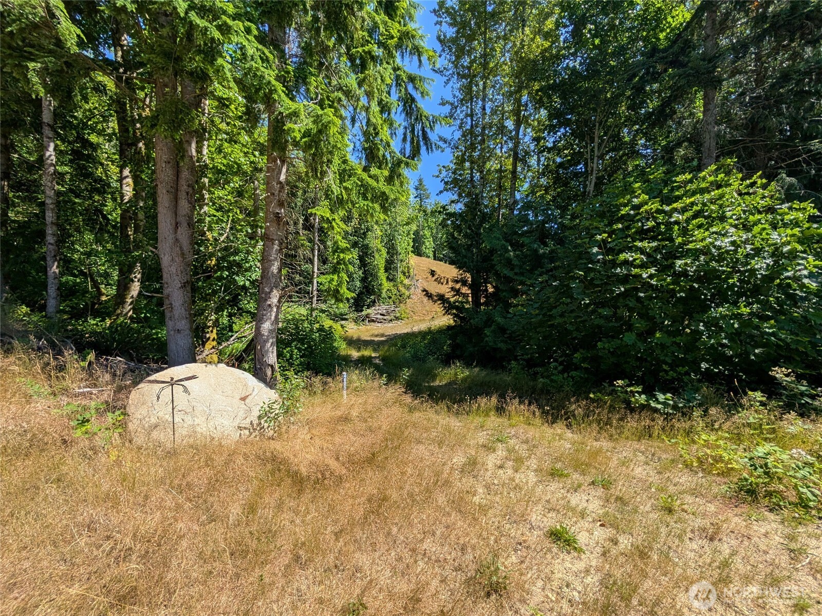0 Stoney Brook Lane Property Photo 7