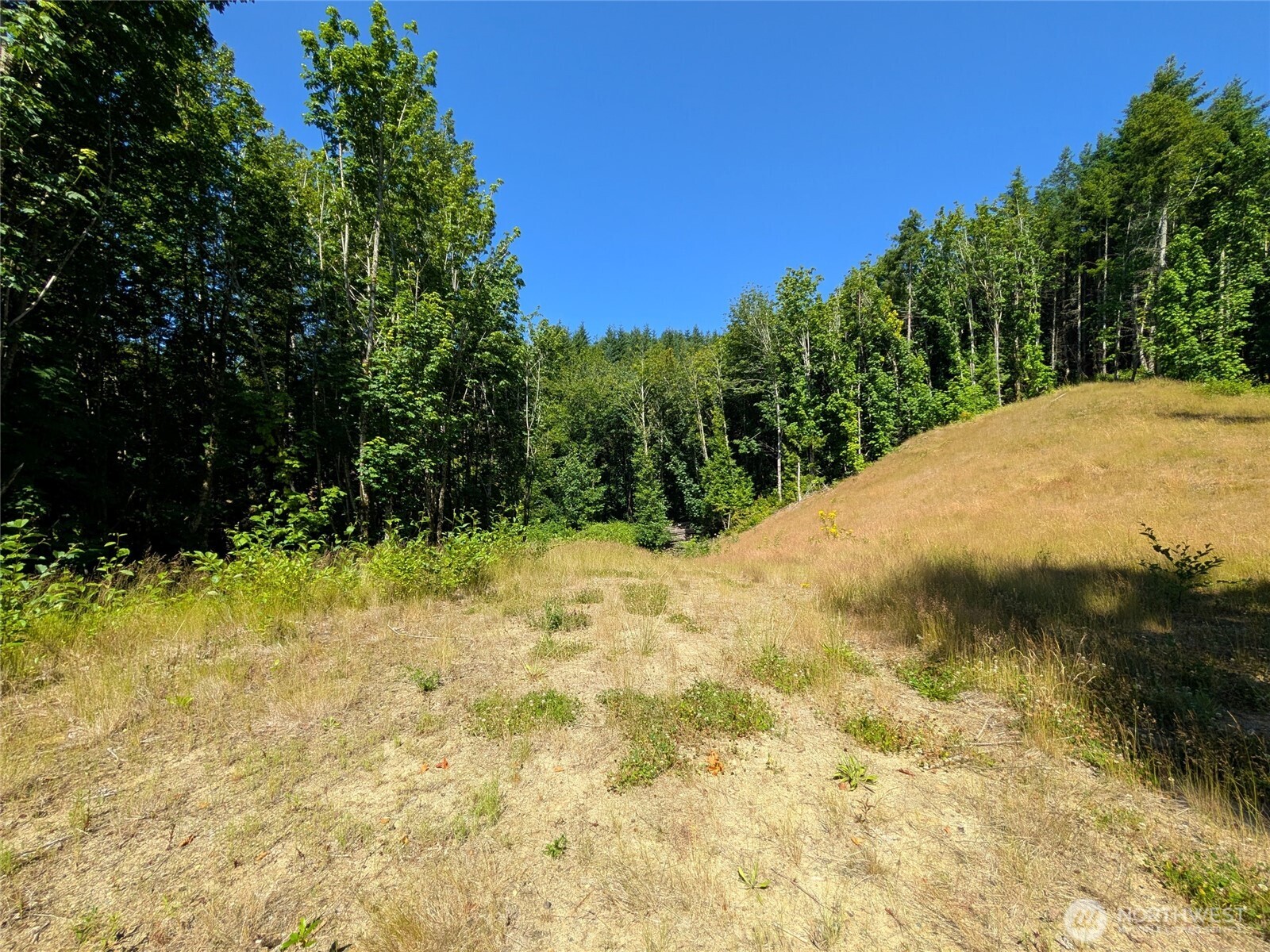 0 Stoney Brook Lane Property Photo 11