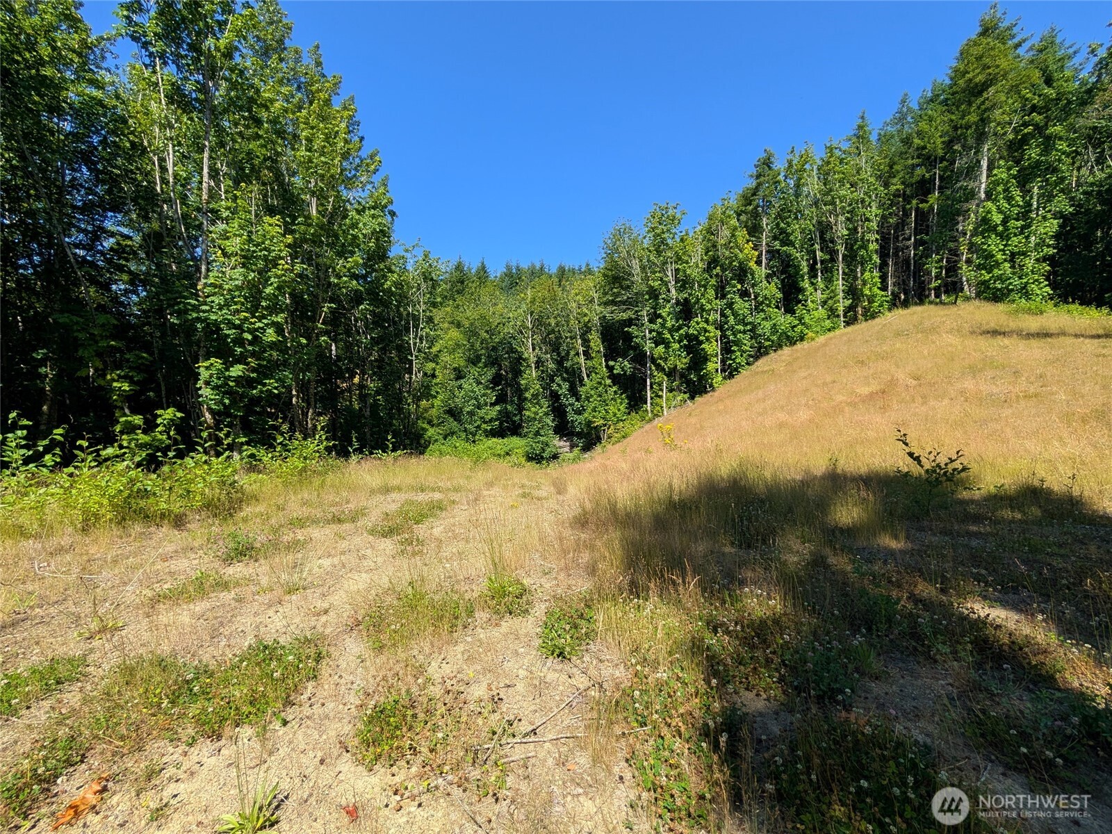 0 Stoney Brook Lane Property Photo 12