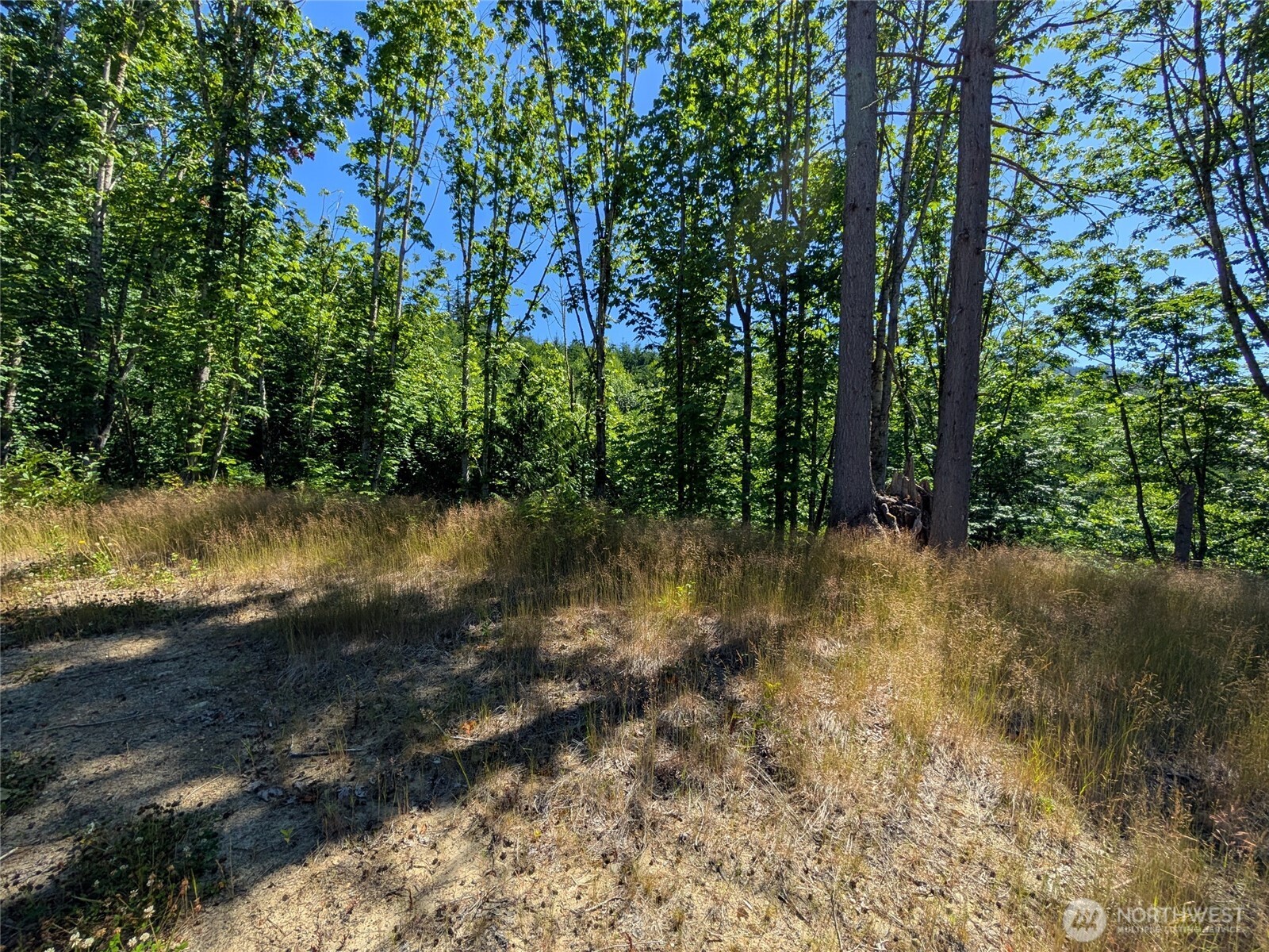 0 Stoney Brook Lane Property Photo 13