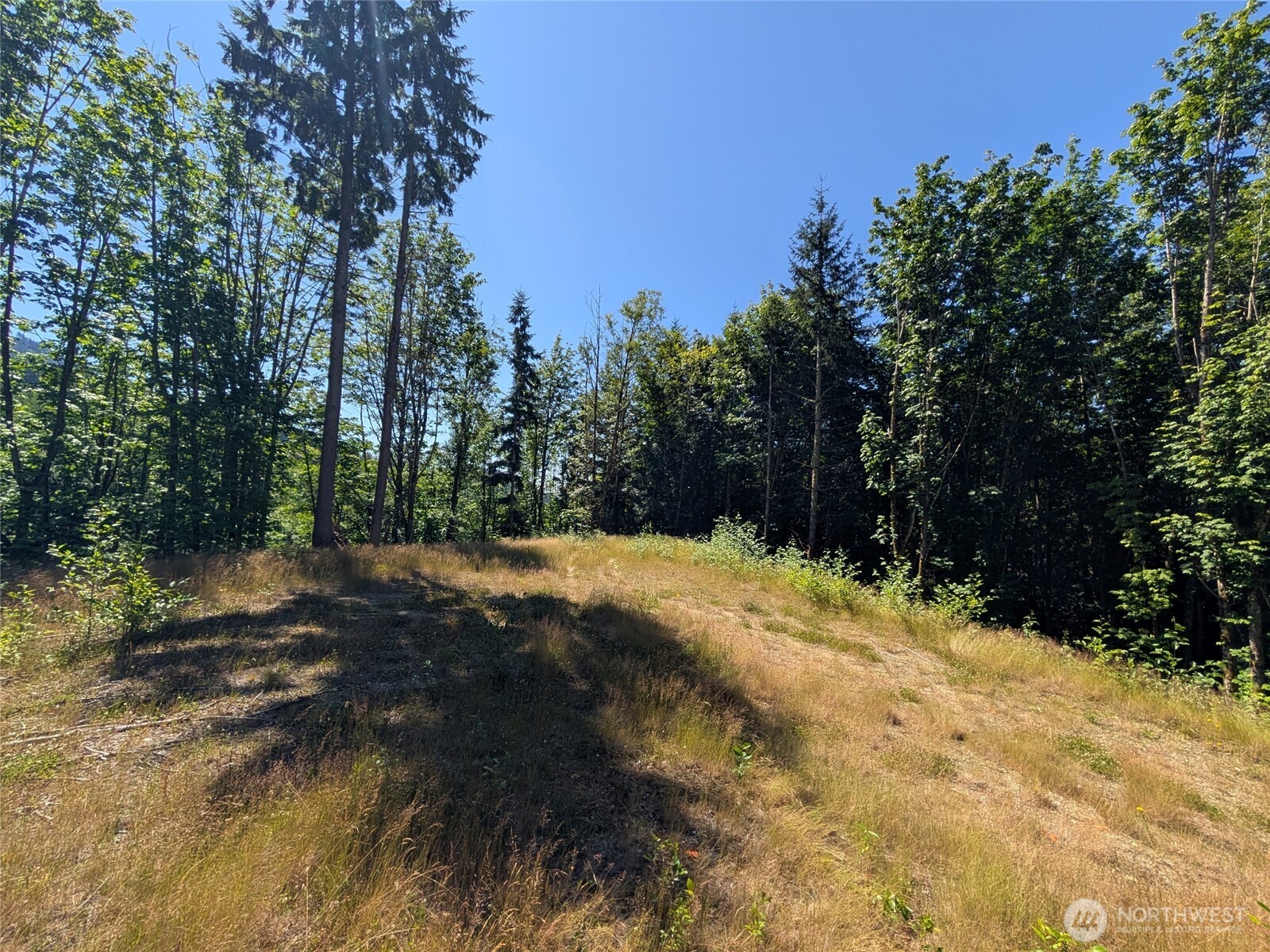0 Stoney Brook Lane Property Photo 14