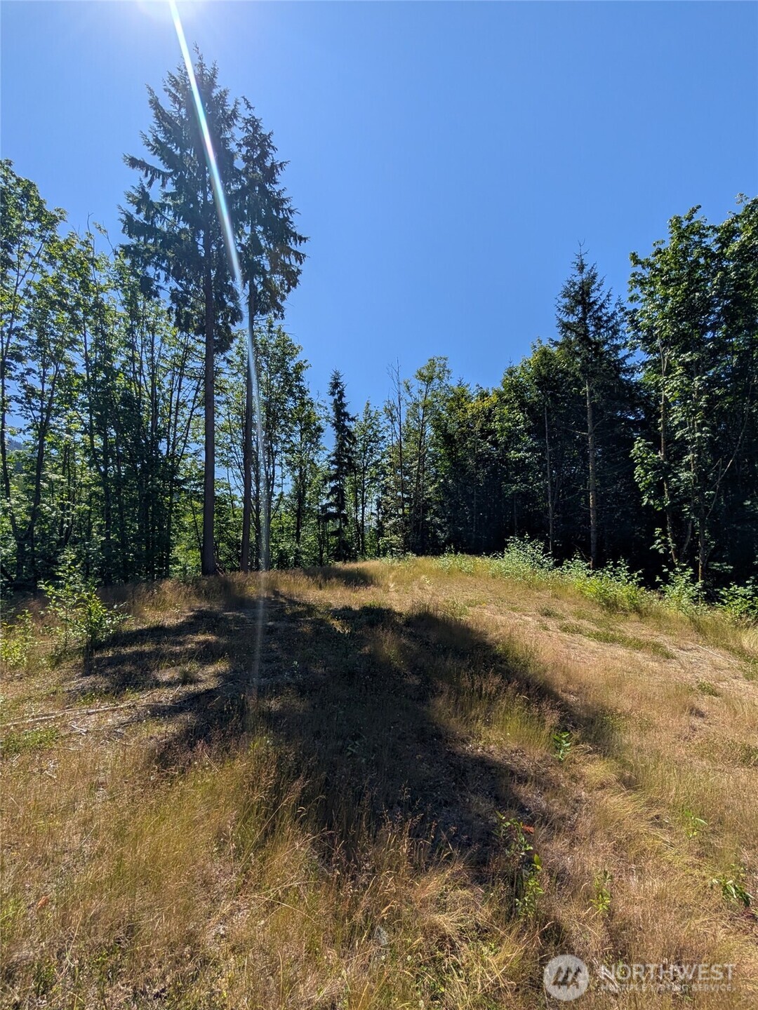 0 Stoney Brook Lane Property Photo 15
