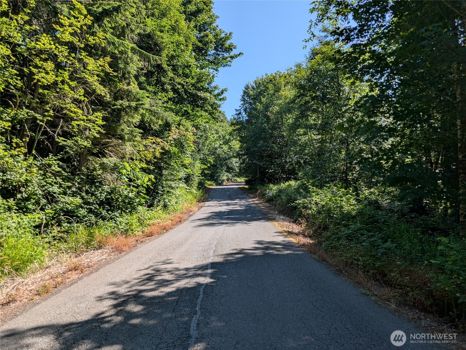 0 Stoney Brook Lane Property Photo 16
