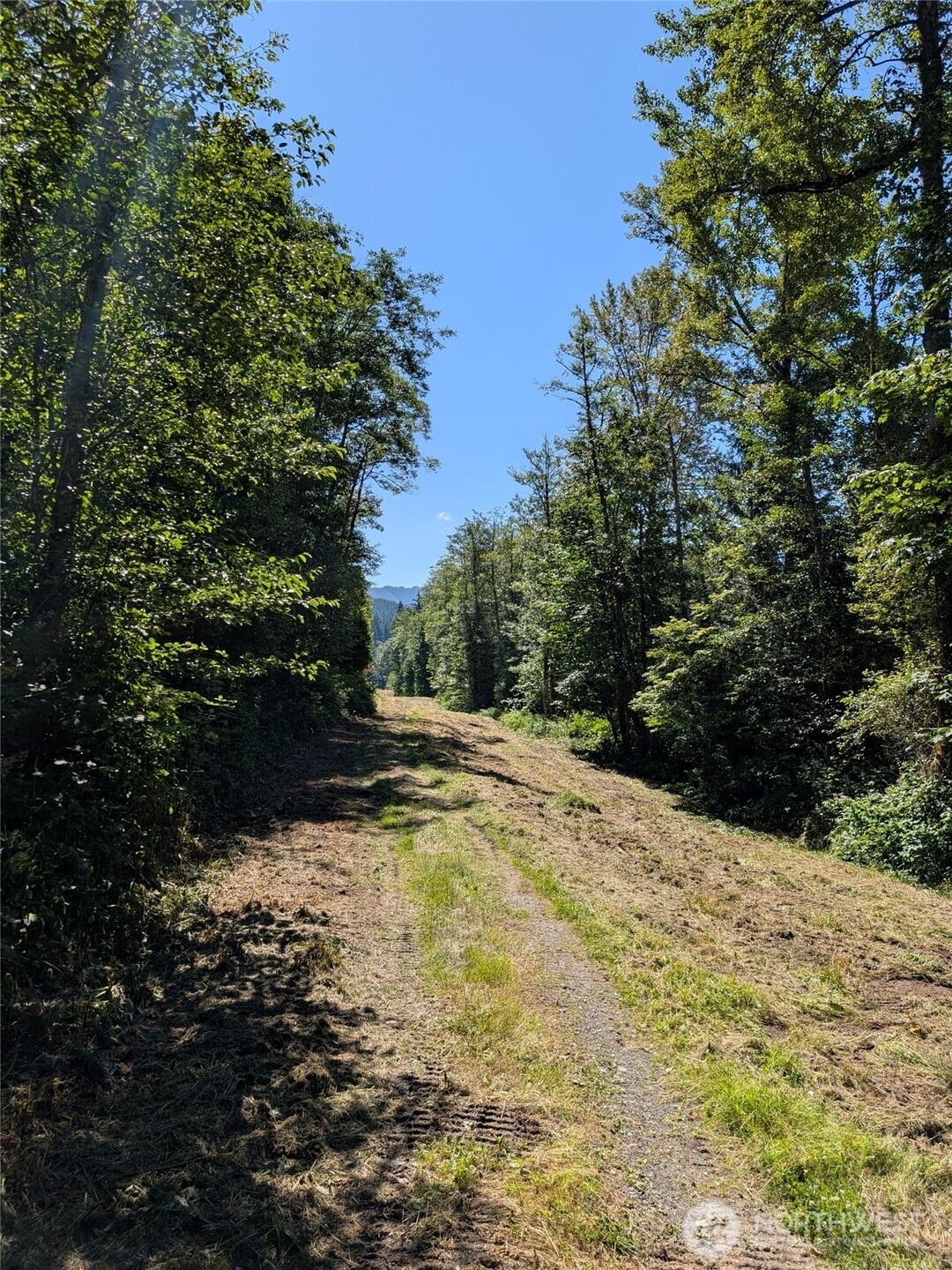 0 Stoney Brook Lane Property Photo 18