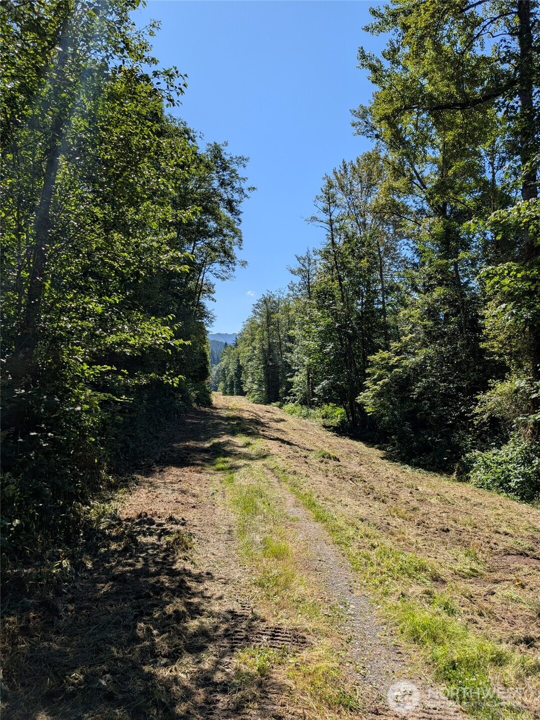 0 Stoney Brook Lane Property Photo 19