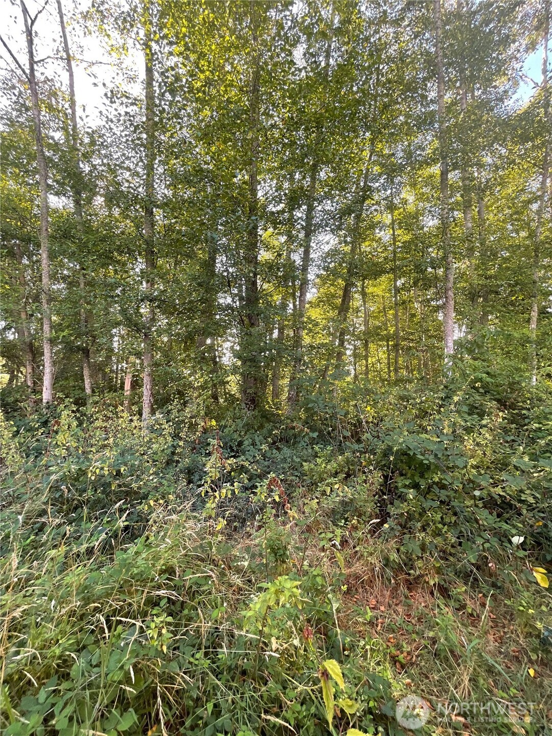 3788 Berry Boulevard Property Photo 6