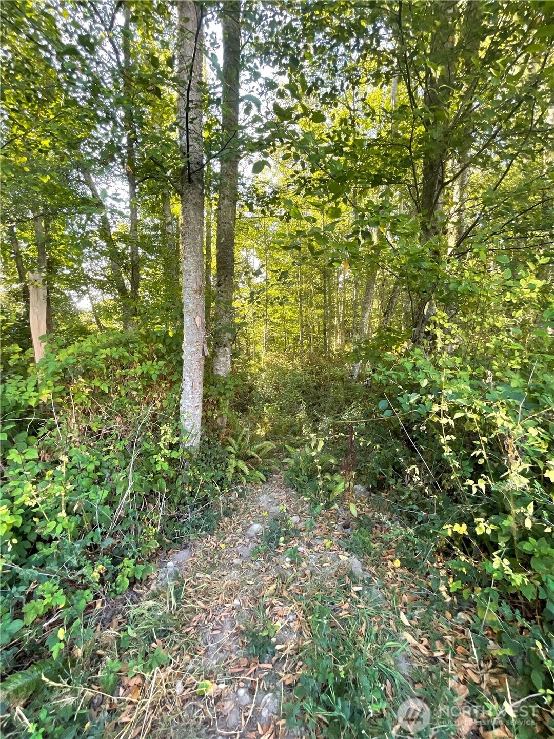 3788 Berry Boulevard Property Photo 7