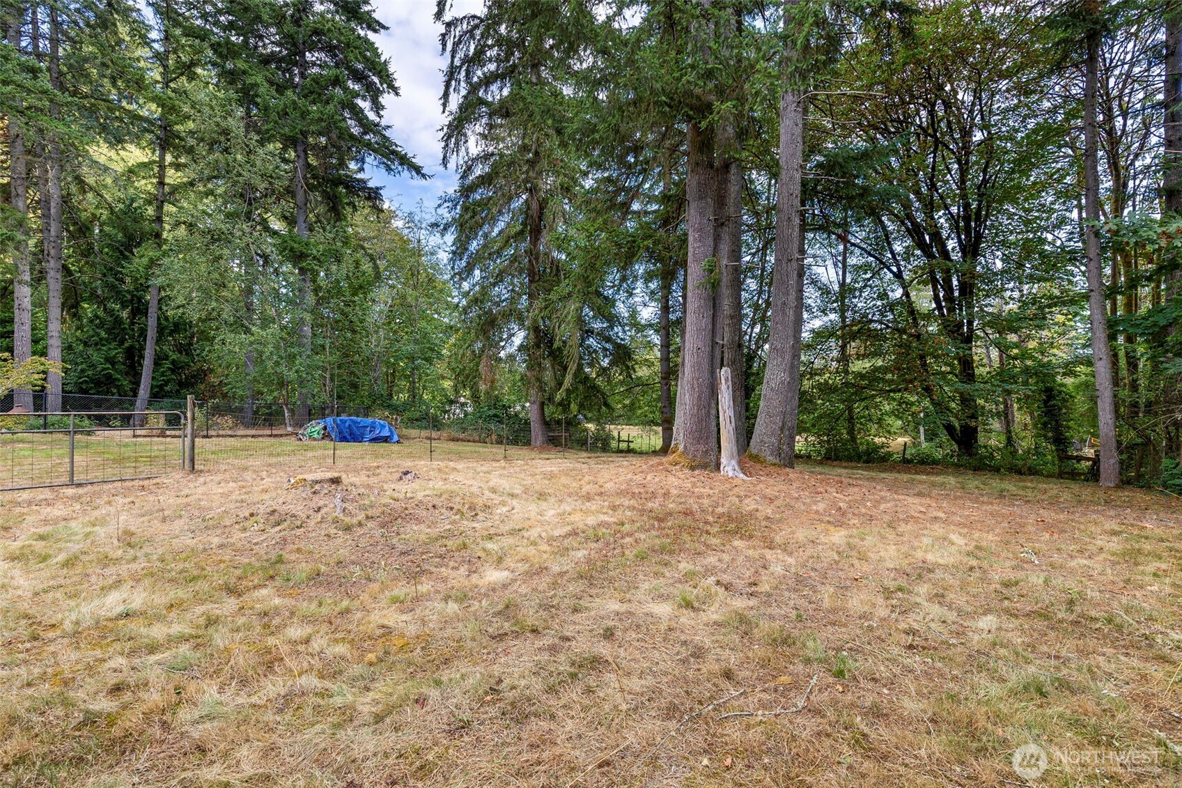 4505 Phillips Road Property Photo 37