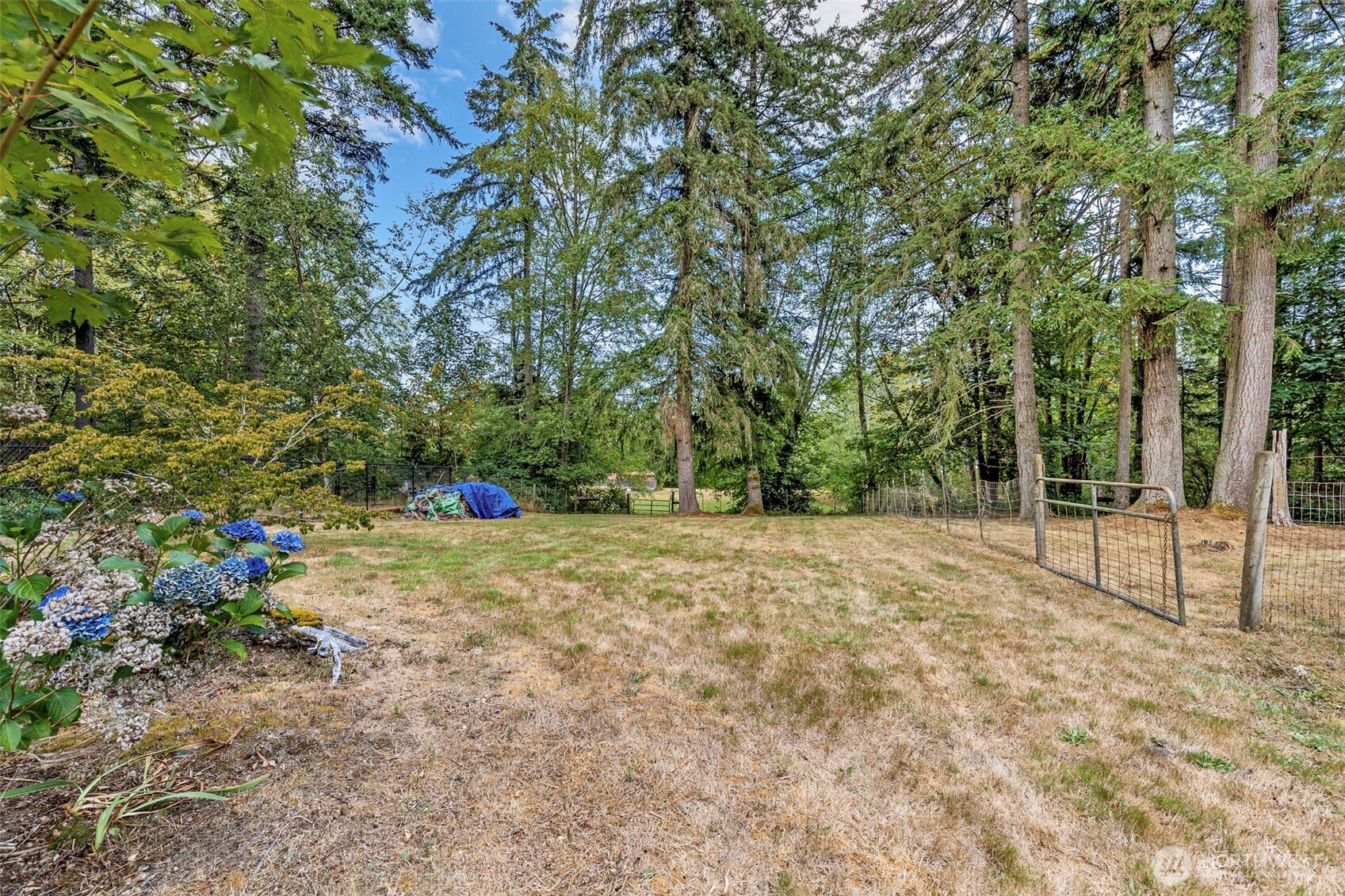 4505 Phillips Road Property Photo 38