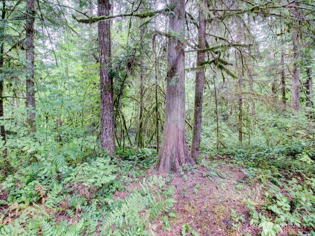 39 Wilderness Way Property Photo 6