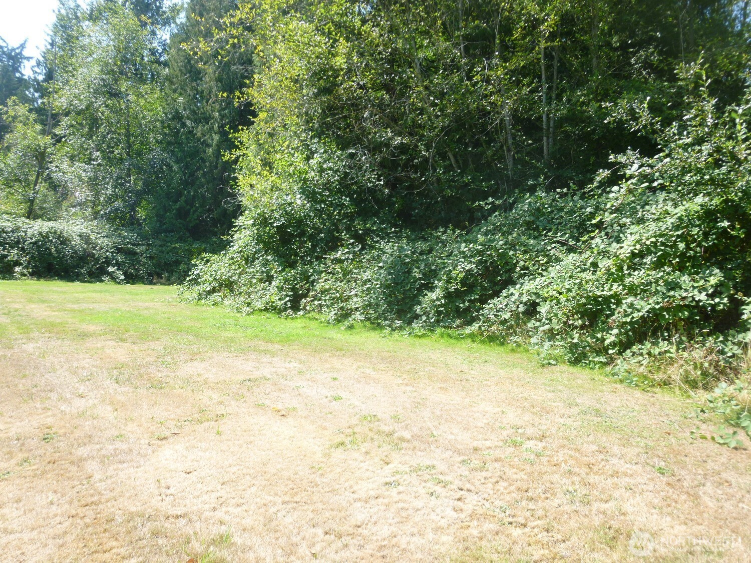 0 Larch Way Property Photo 5