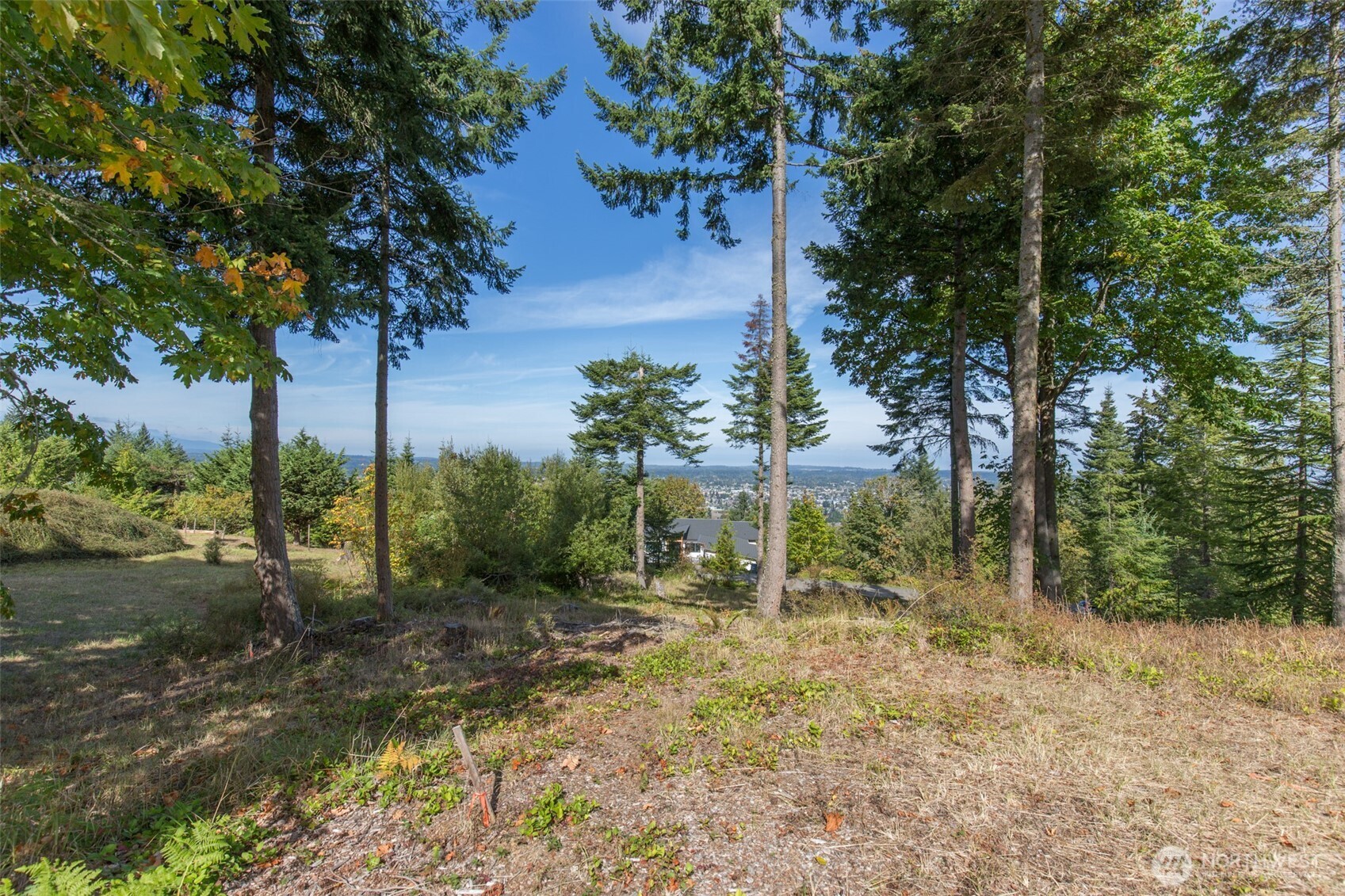 346 Ravens Ridge Road Property Photo 4