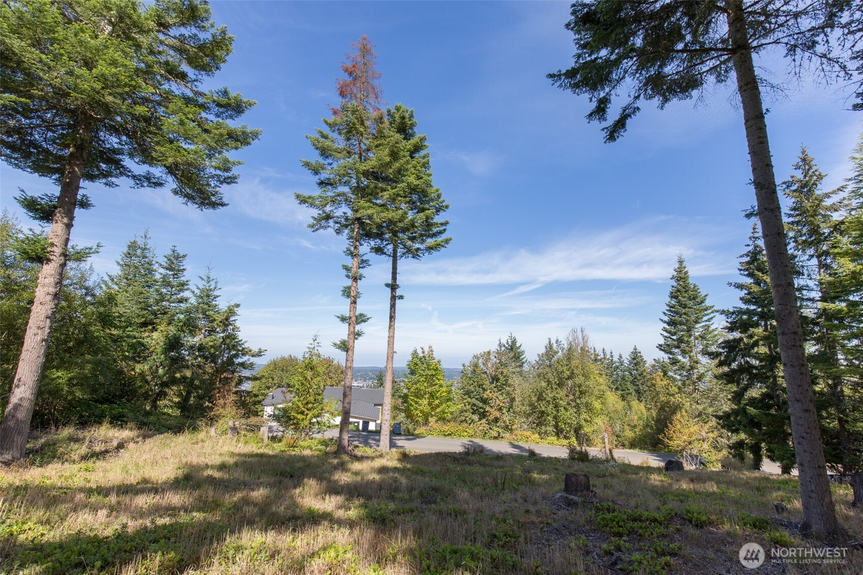 346 Ravens Ridge Road Property Photo 5