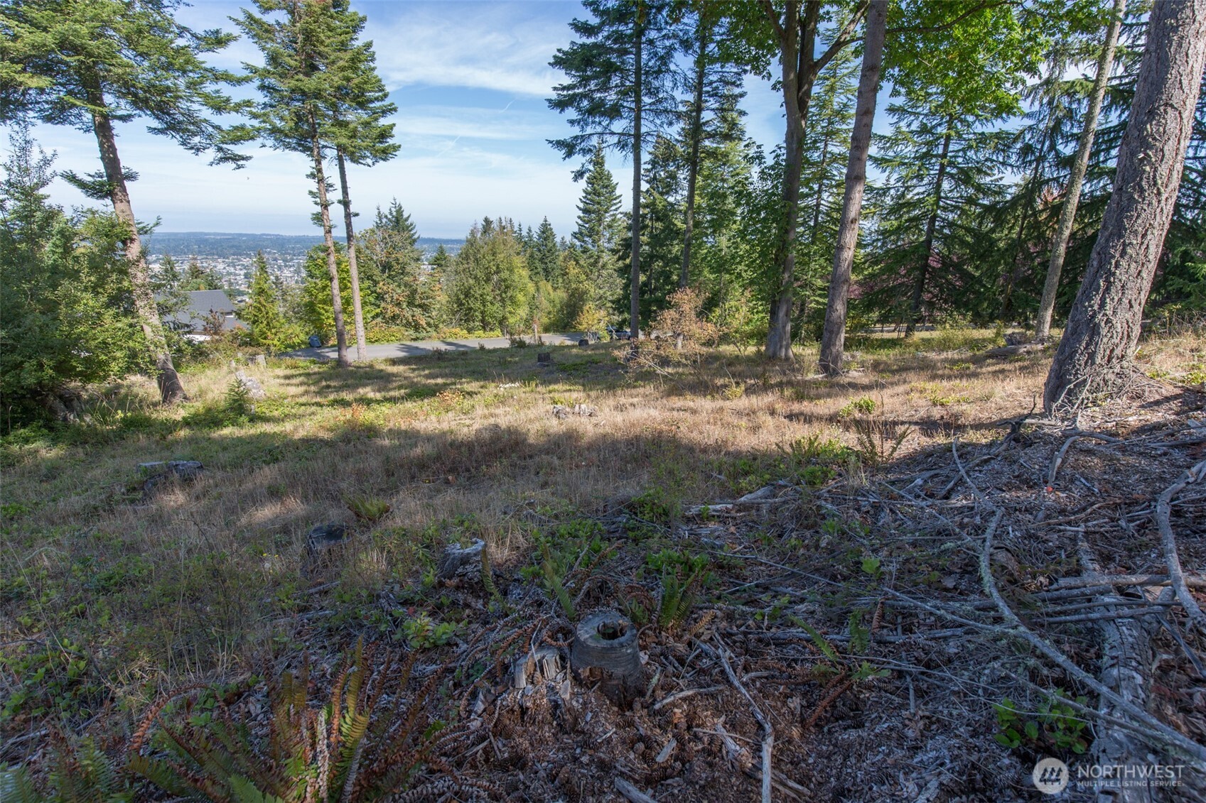 346 Ravens Ridge Road Property Photo 8
