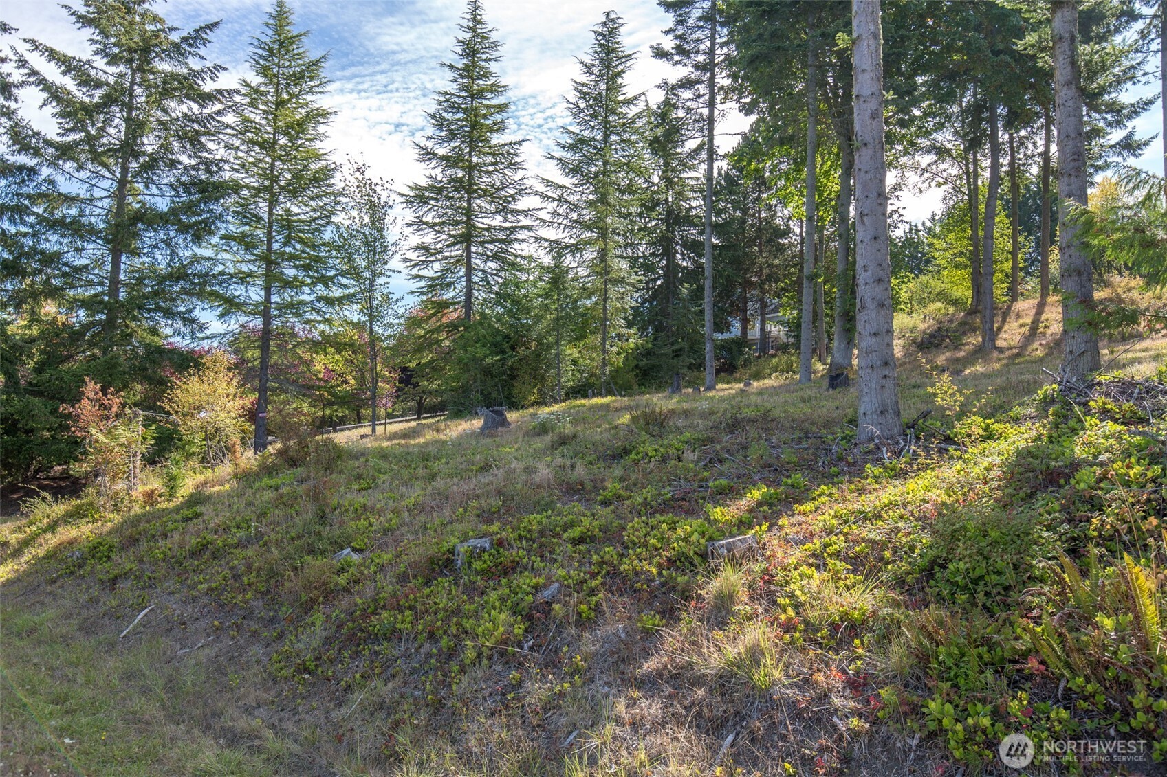 346 Ravens Ridge Road Property Photo 10