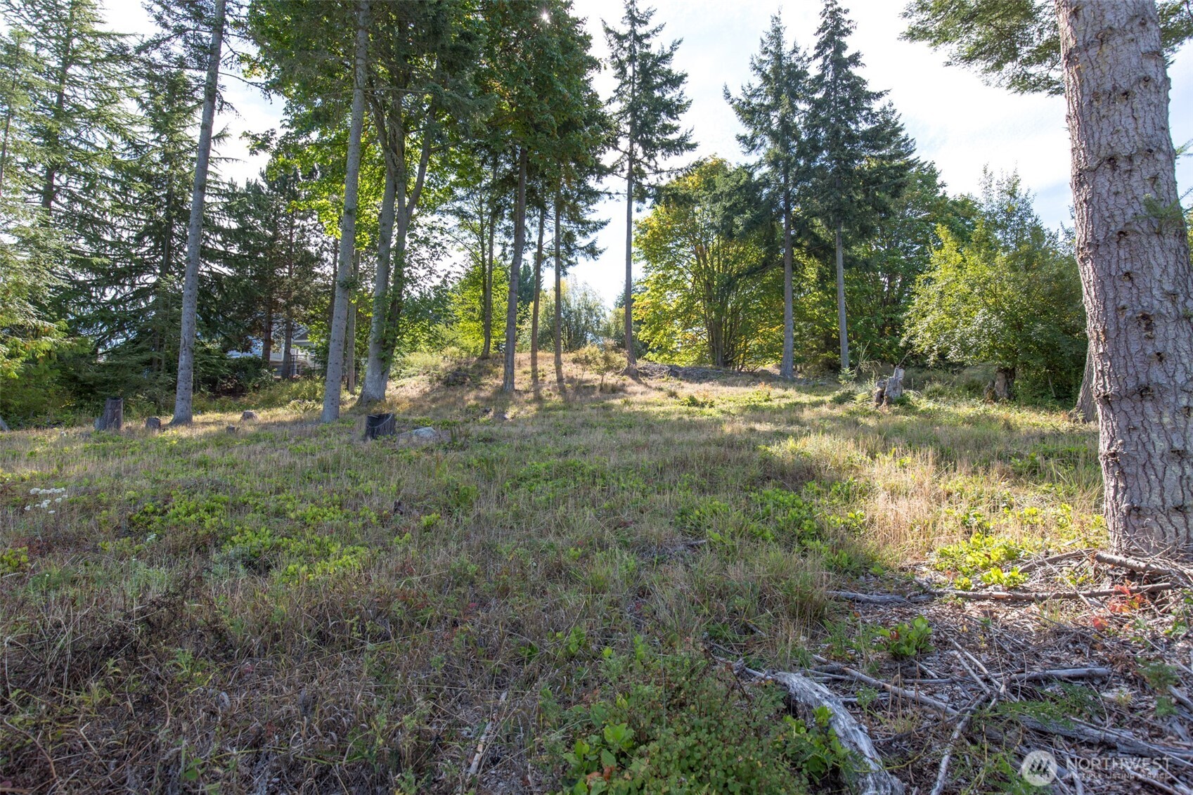 346 Ravens Ridge Road Property Photo 11