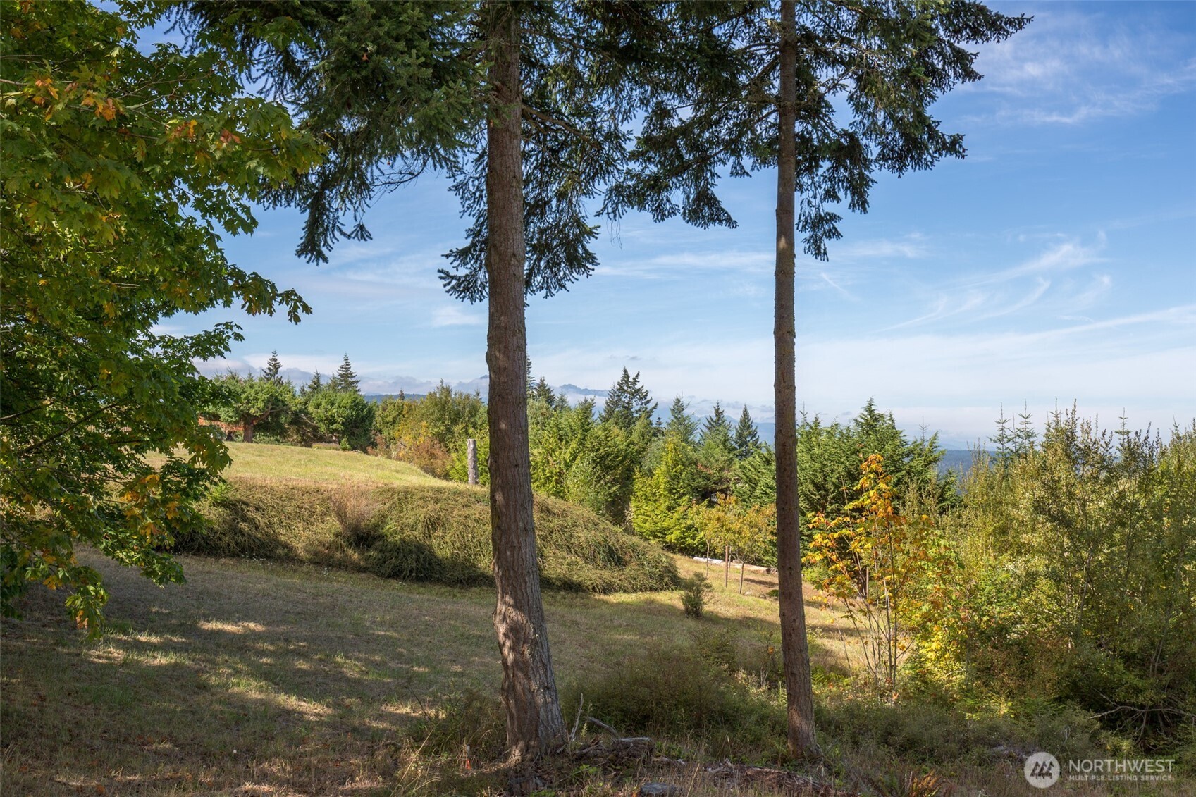 346 Ravens Ridge Road Property Photo 13