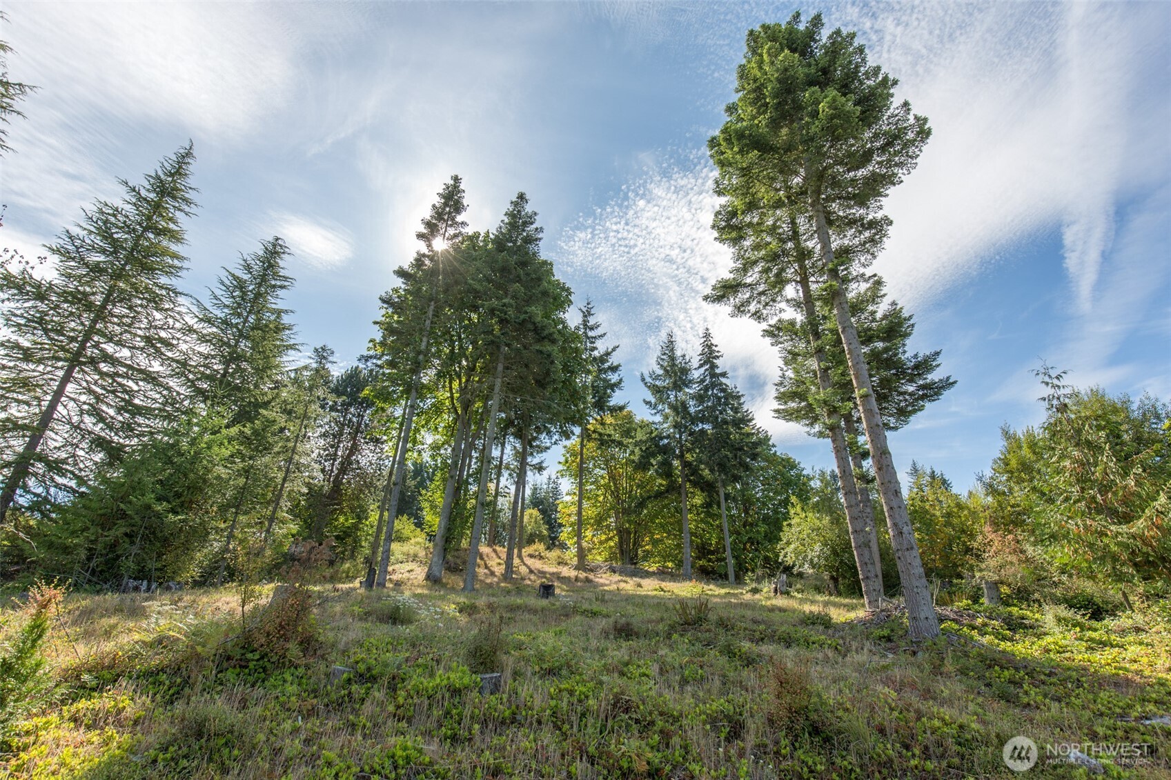 346 Ravens Ridge Road Property Photo 14