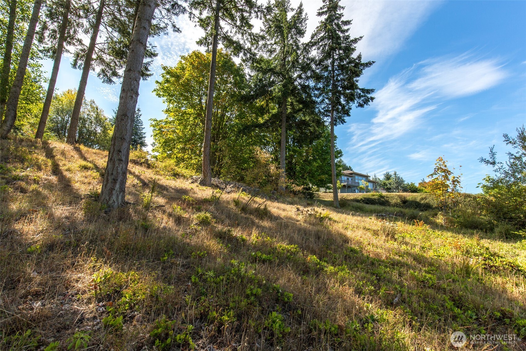 346 Ravens Ridge Road Property Photo 15